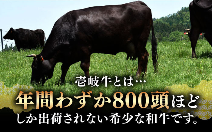 ステーキ 人気 和牛  壱岐牛 希少 柔らかい やわらかい 贈り物 ギフト 
