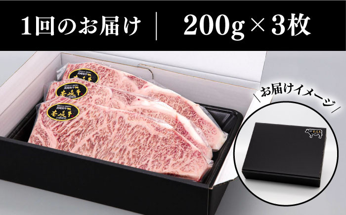 ステーキ 人気 和牛  壱岐牛 希少 柔らかい やわらかい 贈り物 ギフト