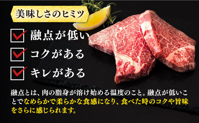 ステーキ 人気 和牛  壱岐牛 希少 柔らかい やわらかい 贈り物 ギフト 