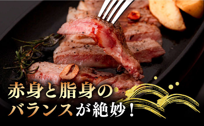 ステーキ 人気 和牛  壱岐牛 希少 柔らかい やわらかい 贈り物 ギフト 