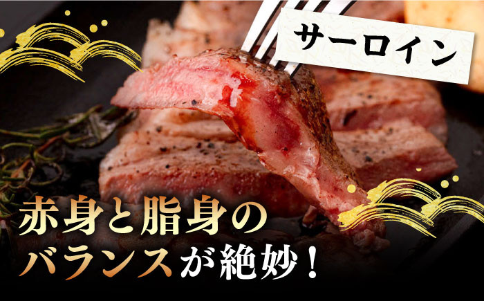 ステーキ 人気 和牛  壱岐牛 希少 柔らかい やわらかい 贈り物 ギフト 