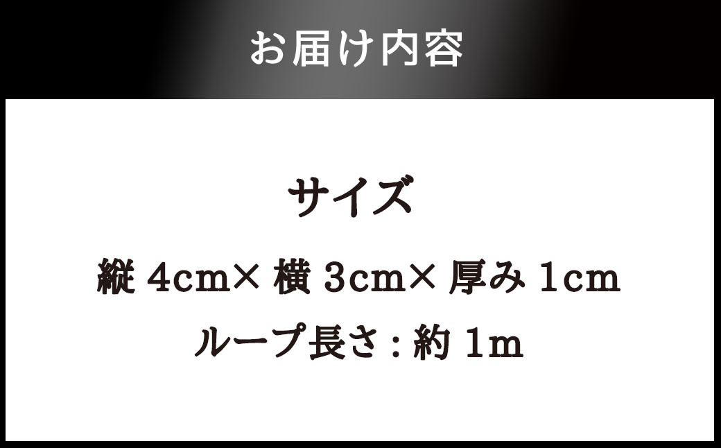 肥後象嵌 ループタイ(菖蒲)