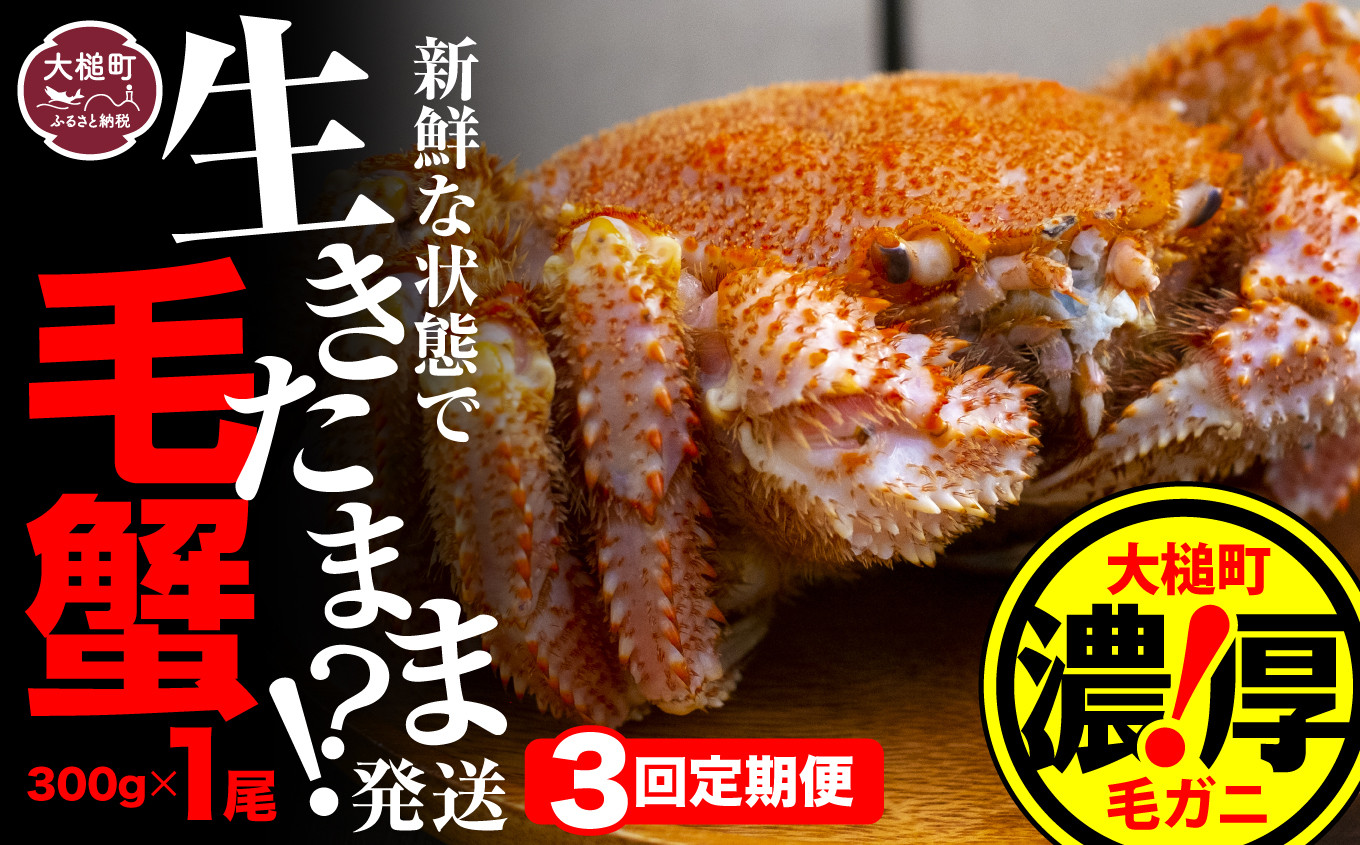300g相当×1杯をお届けします