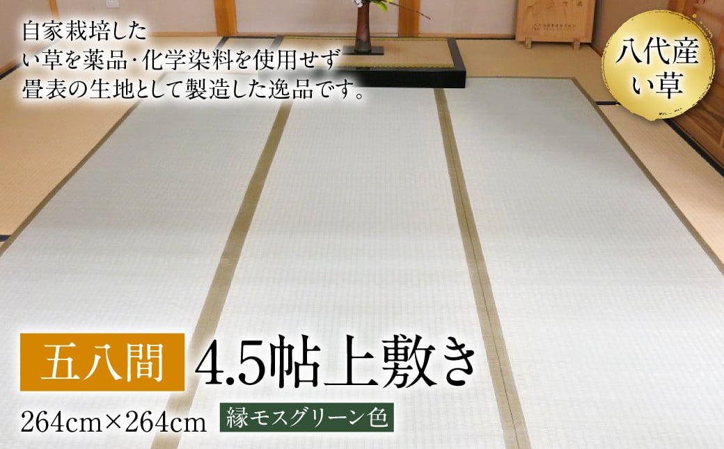 い草 上敷き 五八間 4.5帖 264cm×264cm 縁モスグリーン色