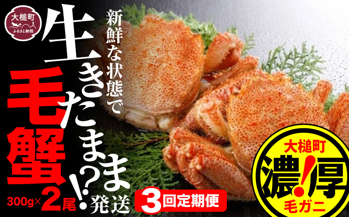 300g相当×2杯をお届けします