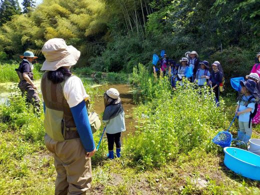田んぼビオトープで生き物調査