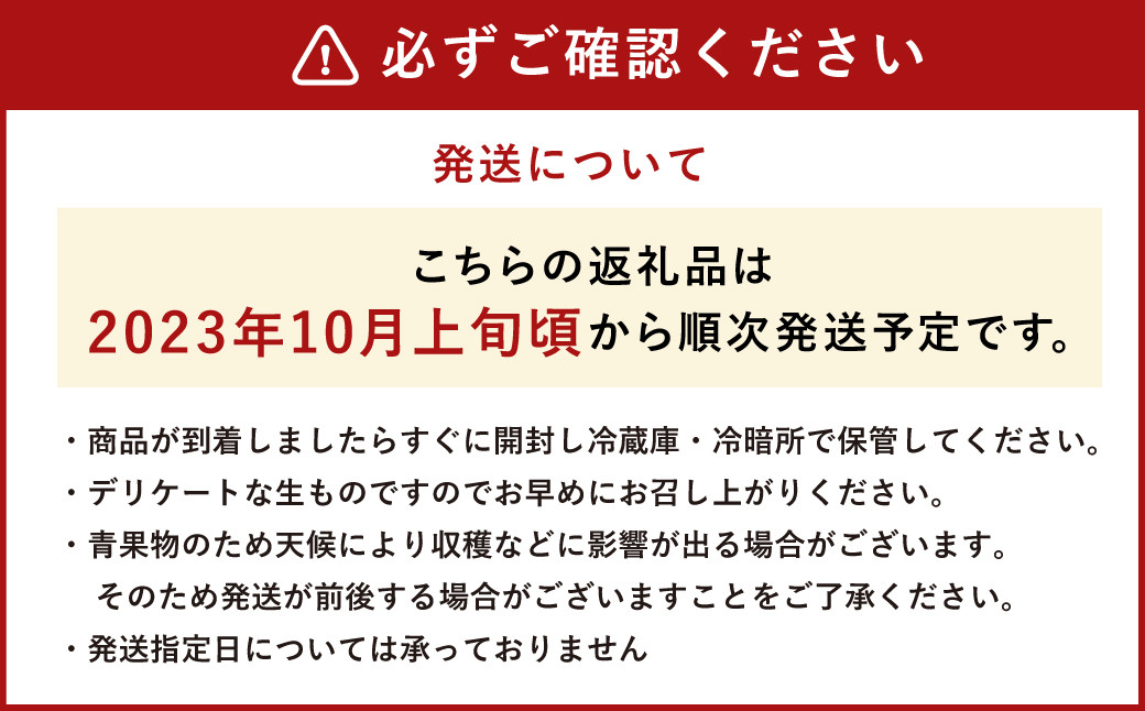 益城産 ばってん甘柿 秀品 約3kg 柿 10~14玉 果物