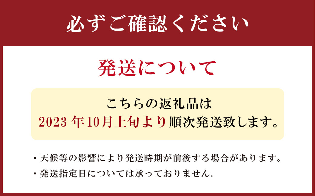 りんご 4.5kg 九州産