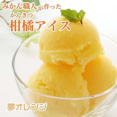 みかん職人が作った柑橘アイス1000ml×4種