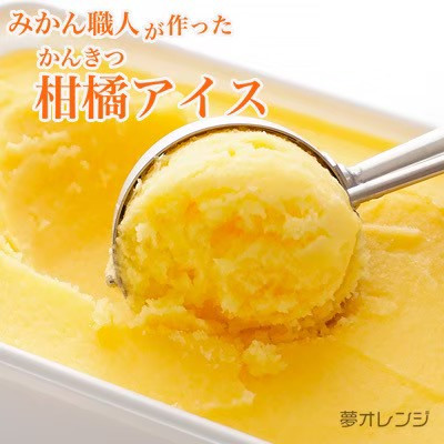 みかん職人が作った柑橘アイス1000ml×4種