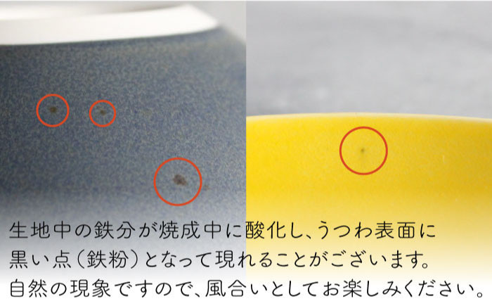 Naturalシリーズ シンプル 大皿 プレート グレー 皿