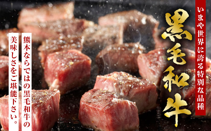 熊本県産 黒毛和牛 もも 食べ比べ セット 約1kg 国産 牛肉 和牛 焼肉用 薄切り ブロック 高級 九州産 熊本県産 山鹿市