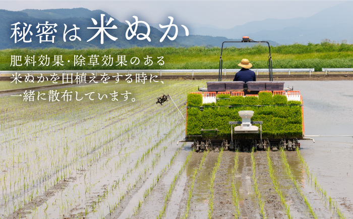 令和7年産 こだわりの玄米 夢しずく 5kg 【北原農園】[HCA019] / 玄米 夢しずく 佐賀米 玄米 特別栽培米
