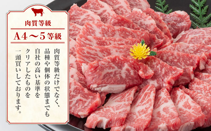 熊本県産 黒毛和牛 もも 食べ比べ セット 約1kg 国産 牛肉 和牛 焼肉用 薄切り ブロック 高級 九州産 熊本県産 山鹿市