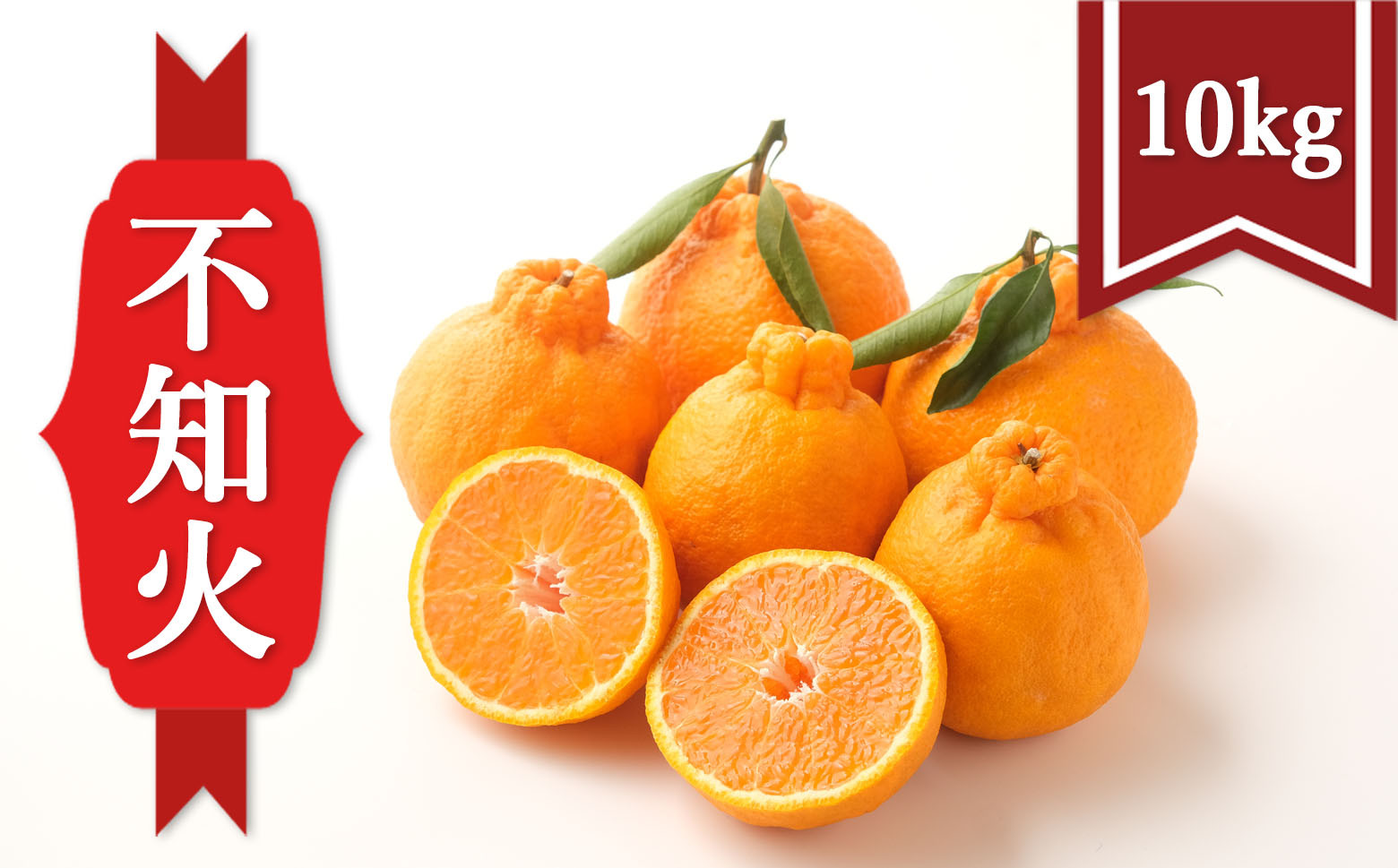 画像はイメージです。