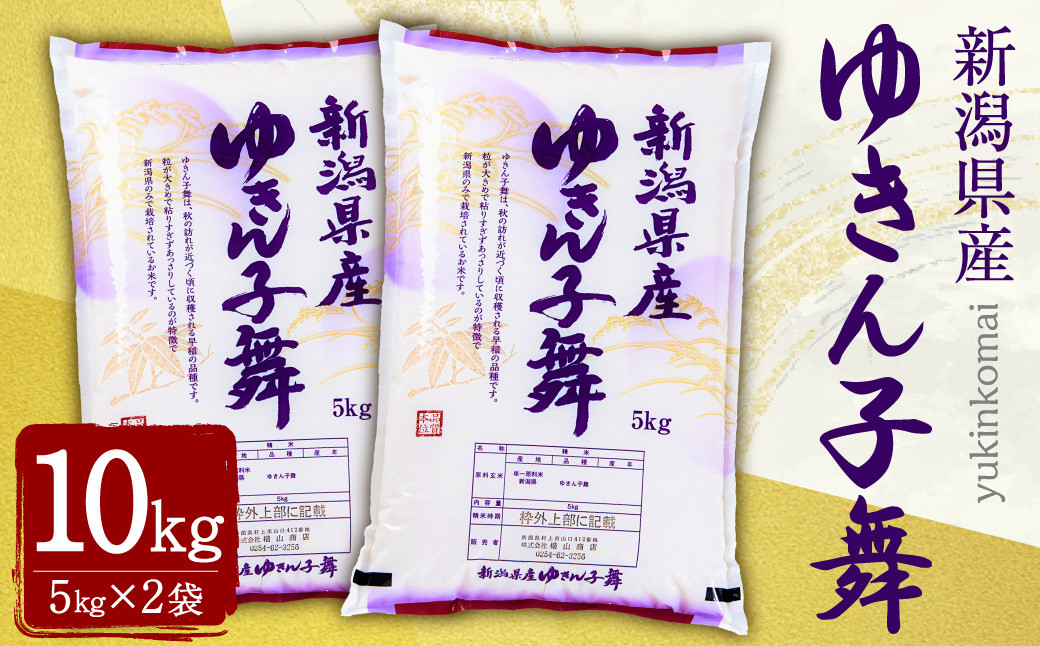 A4197 【令和5年産米】新潟産 ゆきん子舞 10kg