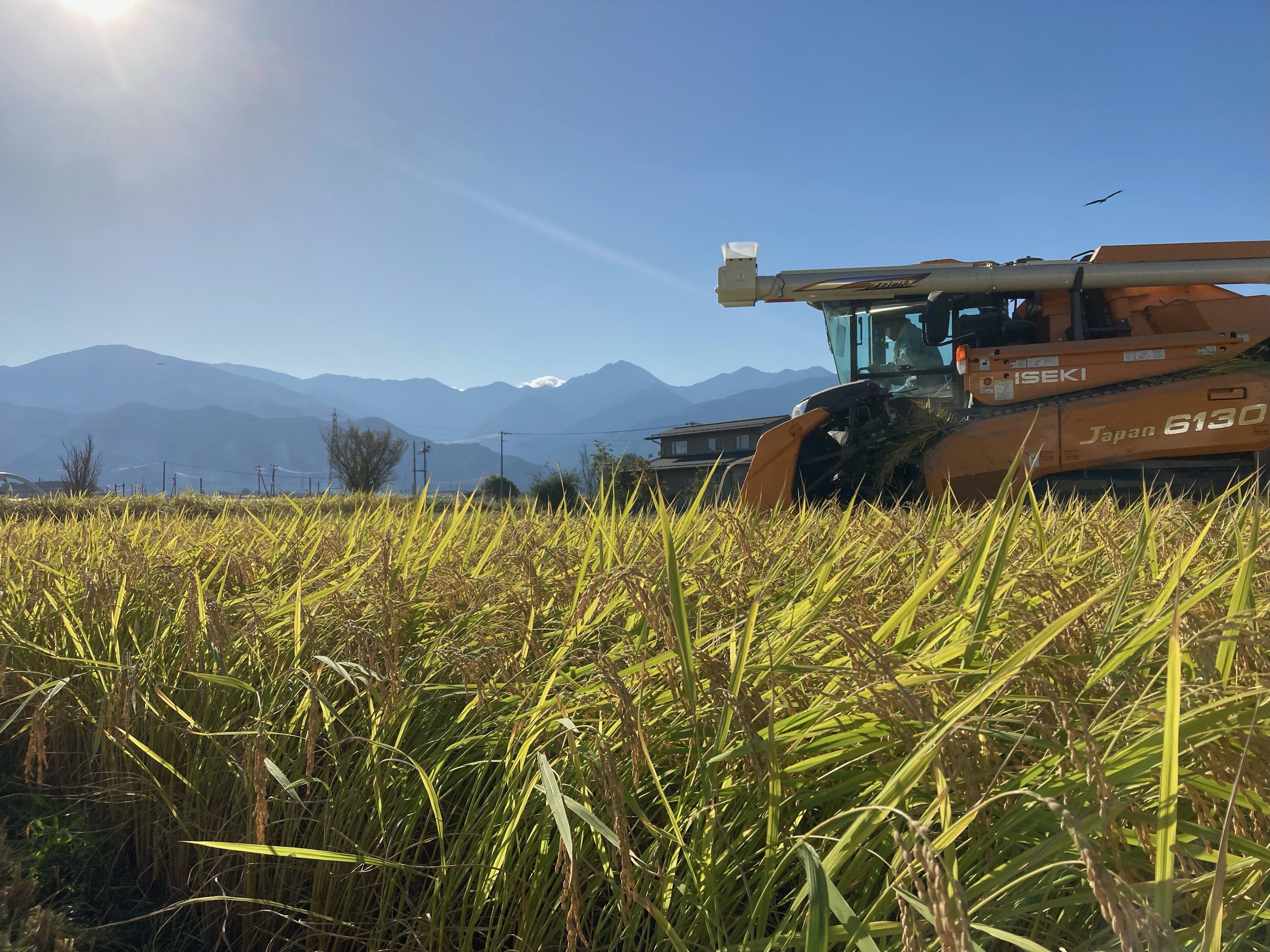 写真はイメージです