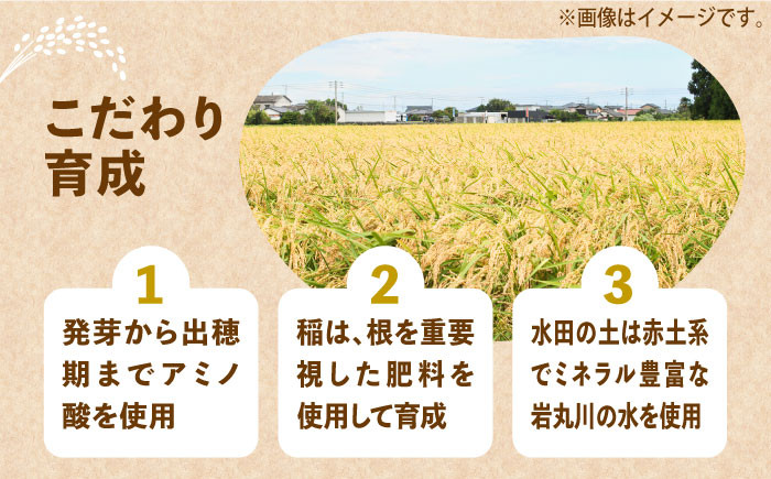 米 お米 こめ コメ ご飯 白米 夢つくし 3kg 国産 ギフト 贈り物 贈答 特別栽培米 県産米 農産物 ふっくら 築上町産