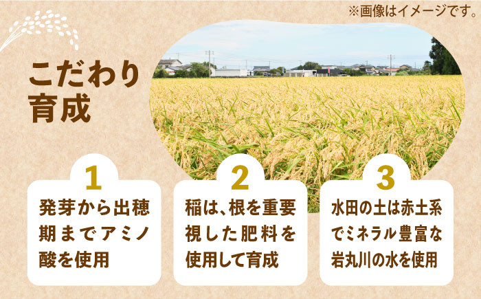 米 お米 こめ コメ ご飯 白米 夢つくし 10kg 国産 ギフト 贈り物 贈答 県産米 減農薬 エコ 農産物 ふっくら