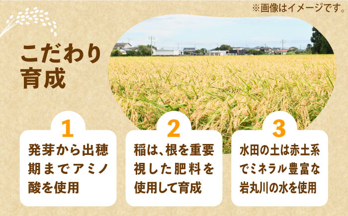 米 お米 こめ コメ ご飯 白米 ミルキークイーン 3kg 国産 ギフト 贈り物 贈答 特別栽培米 県産米 農産物 ふっくら