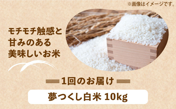 米 お米 こめ コメ ご飯 白米 夢つくし 10kg 国産 ギフト 贈り物 贈答 特別栽培米 県産米 農産物 ふっくら