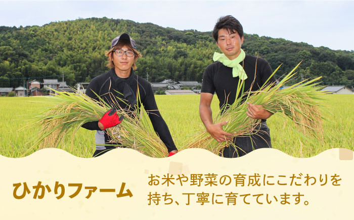 米 お米 こめ コメ ご飯 白米 ミルキークイーン 5kg 国産 ギフト 贈り物 贈答 特別栽培米 県産米 農産物 ふっくら