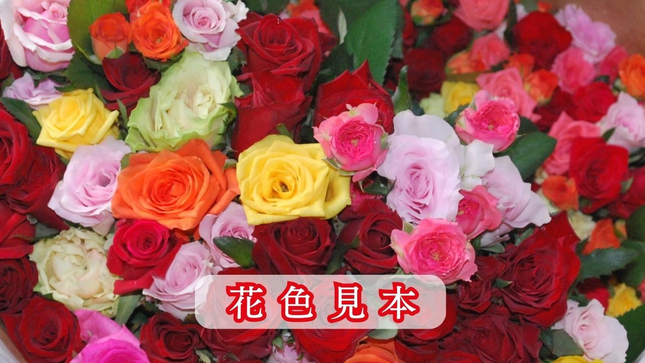 赤・ピンク・黄色・オレンジ等の色の中から選んで花束に致します