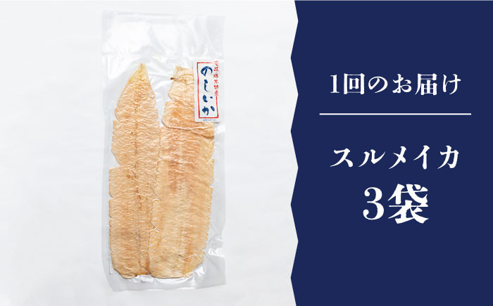 いか イカ 烏賊 セット 小分け いかめし 海鮮 魚介 海の幸 おすすめ