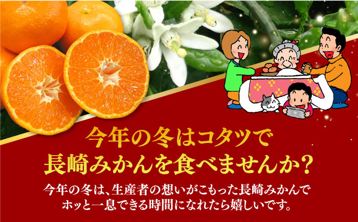 ご家庭用 温州みかん みかん 約10kg 温州みかん 10kg みかん 先行予約 果物 フルーツ 季節限定 季節 期間 限定