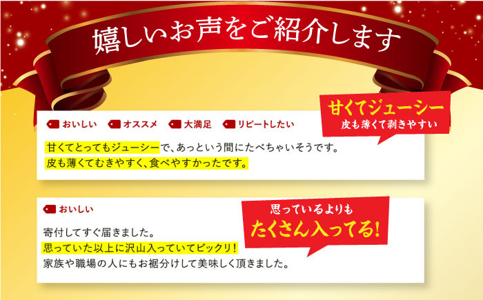 ご家庭用 味ロマン 5kg みかん ミカン みかん 先行予約 蜜柑 果物 フルーツ 季節限定 季節 期間 限定