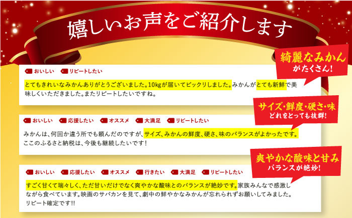 ご家庭用 温州みかん みかん 約10kg 温州みかん 10kg みかん 先行予約 果物 フルーツ 季節限定 季節 期間 限定