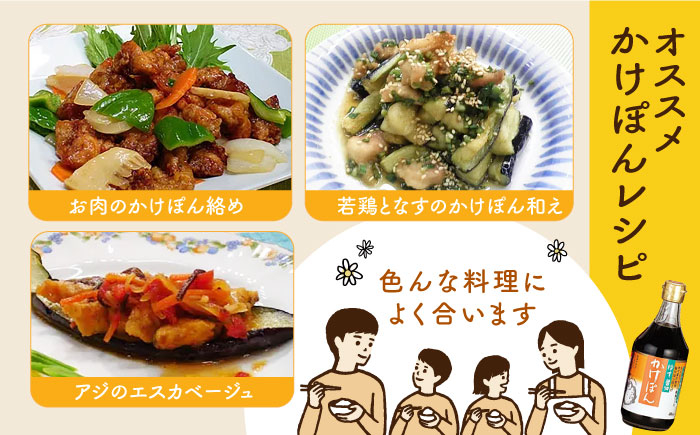 チョーコー 九州 長崎 甘口 醤油 ポン酢 めんつゆ 調味料 ゆず 飛魚 えび だし 鍋