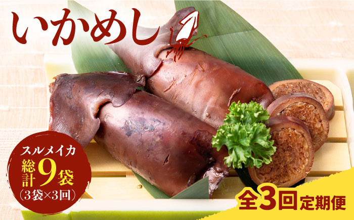 いか イカ 烏賊 セット 小分け いかめし 海鮮 魚介 海の幸 おすすめ