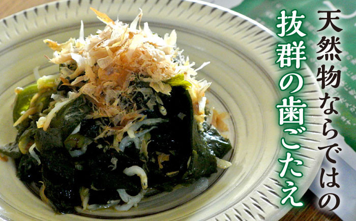 糸島産天然わかめは肉厚で歯ごたえ抜群！