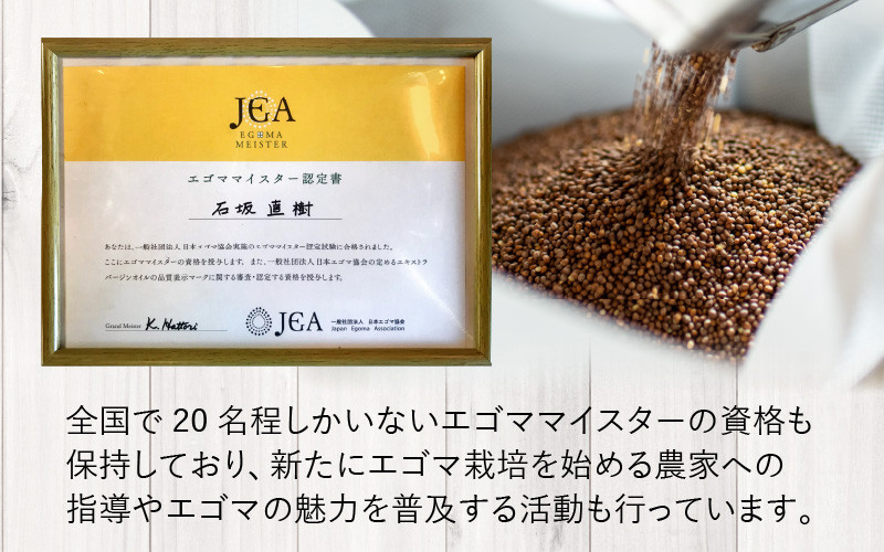 エゴマの実