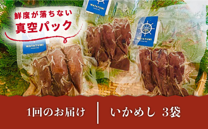 いか イカ 烏賊 セット 小分け いかめし 海鮮 魚介 海の幸 おすすめ