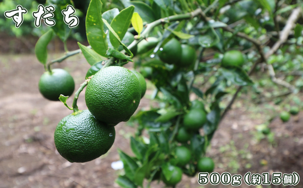 クセのない酸味と強い香りの「すだち」は、苦みが少なく爽やかな香りで、松茸やサンマなど香りの強い食材ともよく合います。