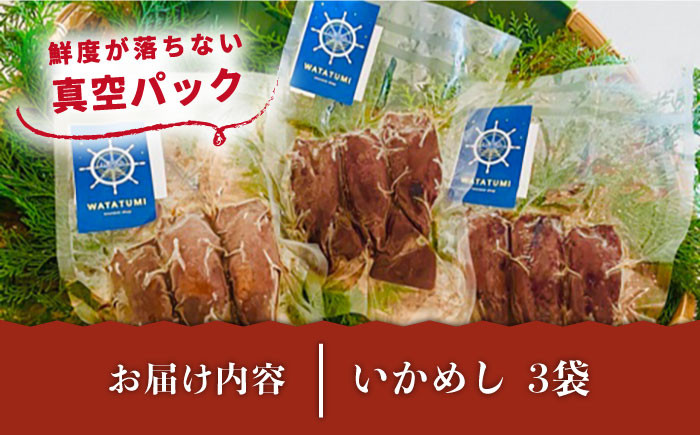 いか イカ 烏賊 セット 小分け いかめし 海鮮 魚介 海の幸 おすすめ