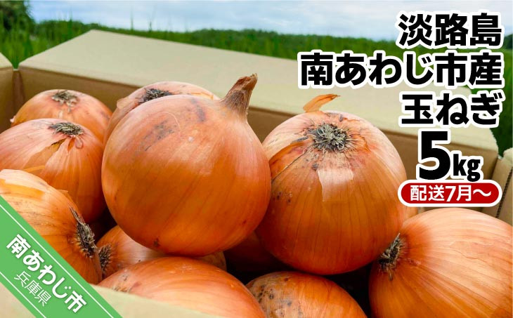 淡路島　南あわじ市産玉ねぎ 5kg