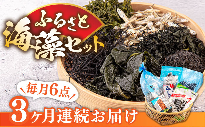 おすすめ オススメ こだわり ギフト 人気 特産品 贈り物 ギフト 海藻 海の幸