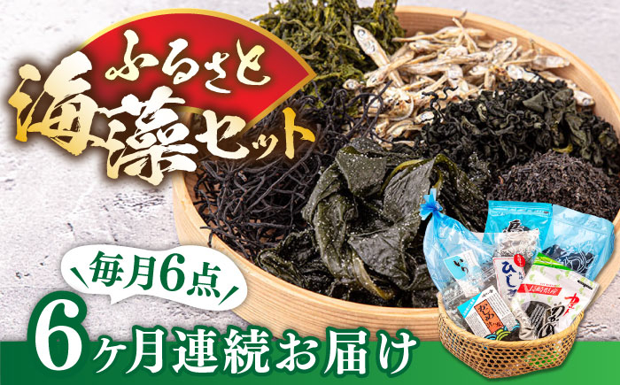 おすすめ オススメ こだわり ギフト 人気 特産品 贈り物 ギフト 海藻 海の幸