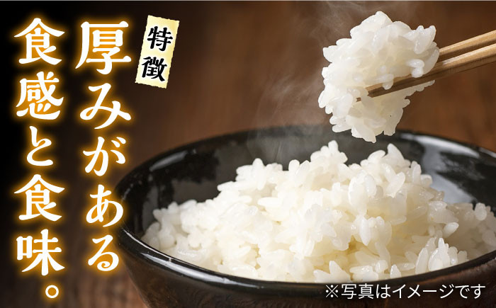 ヒノヒカリ 白米 10kg