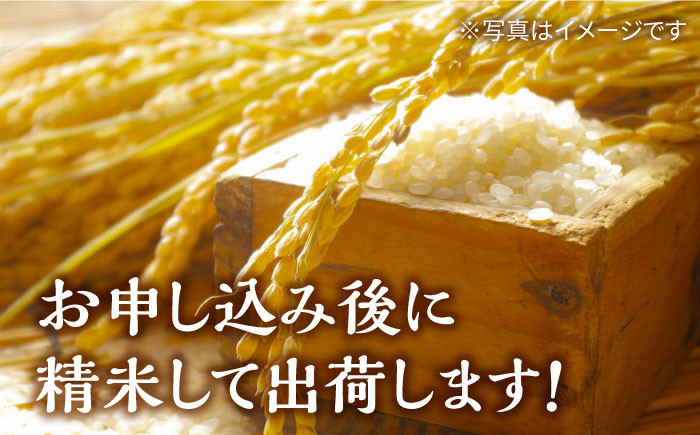 ヒノヒカリ 白米 10kg