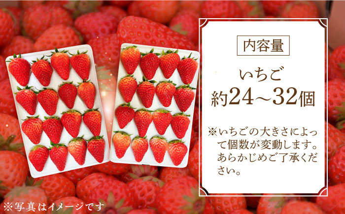 苺 いちご イチゴ ストロベリー 果物 くだもの ジャム 紅ほっぺ フルーツ 冷蔵 小分け 産地直送 甘い 品種 国産 広島県産