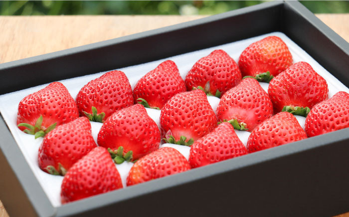 あまおう いちご 苺 イチゴ 特上 ギフト プレゼント 贈答用 贈り物 お祝い フルーツ 高級いちご 人気  国産 おすすめ