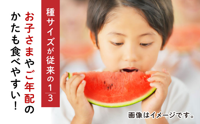 種ごと 食べられる 小玉スイカ 2玉 ピノガール 熊本県産 すいか 西瓜 スイカ 熊本県 名産 果物 フルーツ 旬 甘い 新鮮