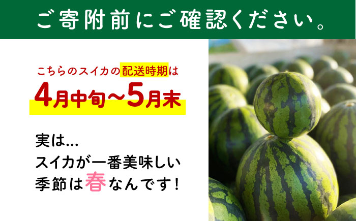 ひとりじめ 黒皮小玉 スイカ 2玉 西瓜 小玉すいか くまもと 果物  熊本県産 スイカ 小玉 名産 フルーツ 旬 甘い 山鹿市