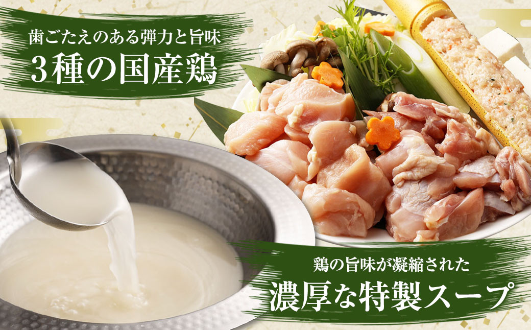 ハーブ育ちチキン使用！ 水炊き 8人前 ＋ 【国産冷凍生餃子】 大きめ餃子 100個