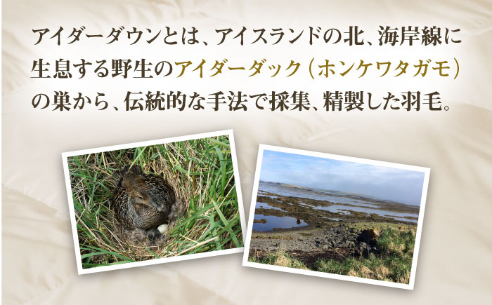 おすすめ オススメ こだわり ギフト 人気 特産品 贈り物 ギフト  羽毛布団 