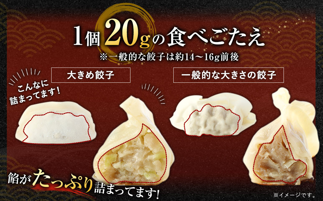 ハーブ育ちチキン使用！ 水炊き 8人前 ＋ 【国産冷凍生餃子】 大きめ餃子 100個